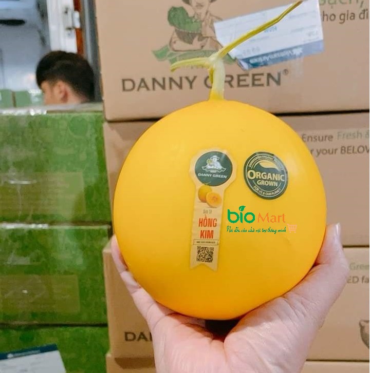 Dưa Lê Hồng Kim Hữu Cơ - Orange Golden Pyriform Melon Organic | Danny Green